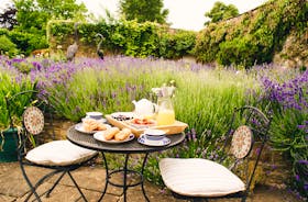 Breakfast in the garden