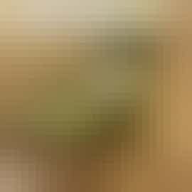 Sitting room bay window Sitting room bay window