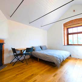 Grooms Studio Grooms Studio