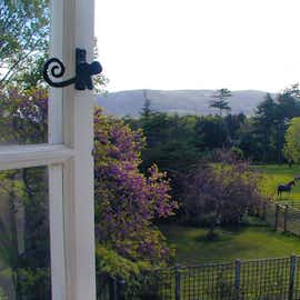 View of the garden View of the garden