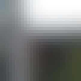 View of the garden View of the garden