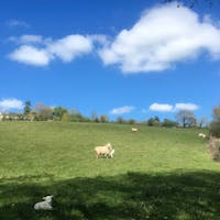 Hurstone: Nestled on the hillside in a quiet corner of Somerset Hurstone: Nestled on the hillside in a quiet corner of Somerset