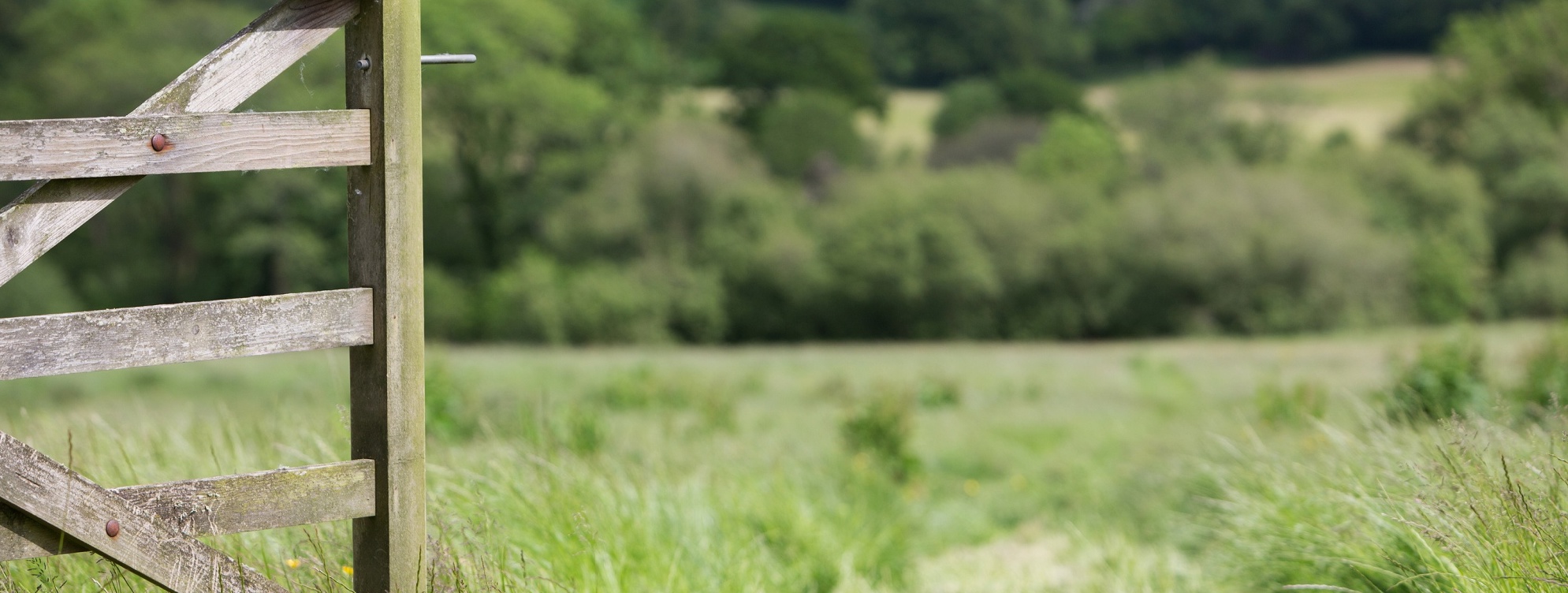 Cosy Winter Cottage Breaks In Devon