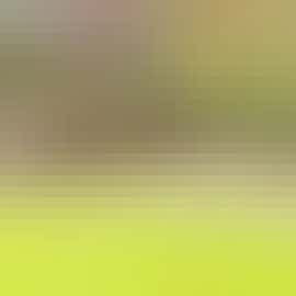 Garden Well Garden Well