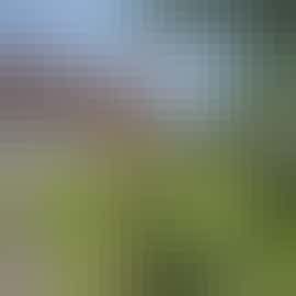 Riverside - There's plenty of room to play in the front garden Riverside - There's plenty of room to play in the front garden