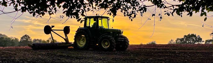 Summer down on the Farm