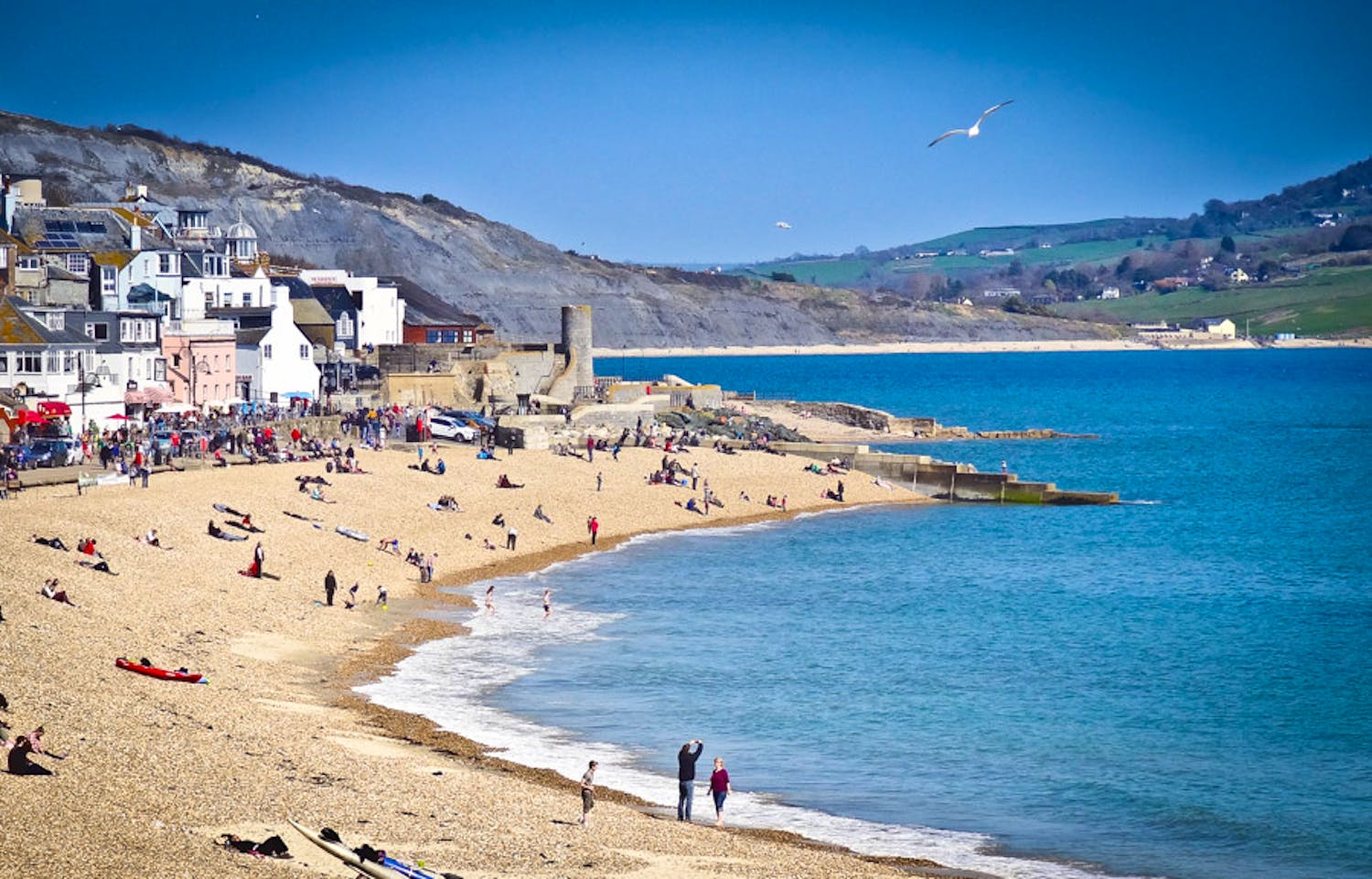 B And B Lyme Regis Dog Friendly B And B Lyme Regis Dog Friendly