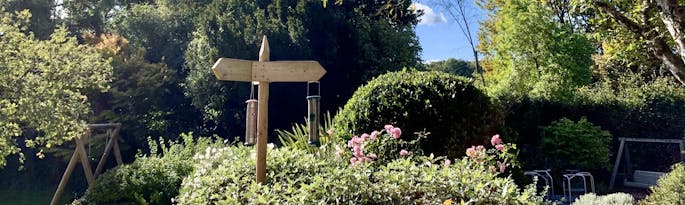 Garden Birds to spot at your bird table this Autumn.