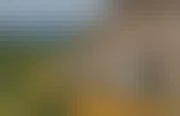 An image of 'Wisteria Cottage', Devon