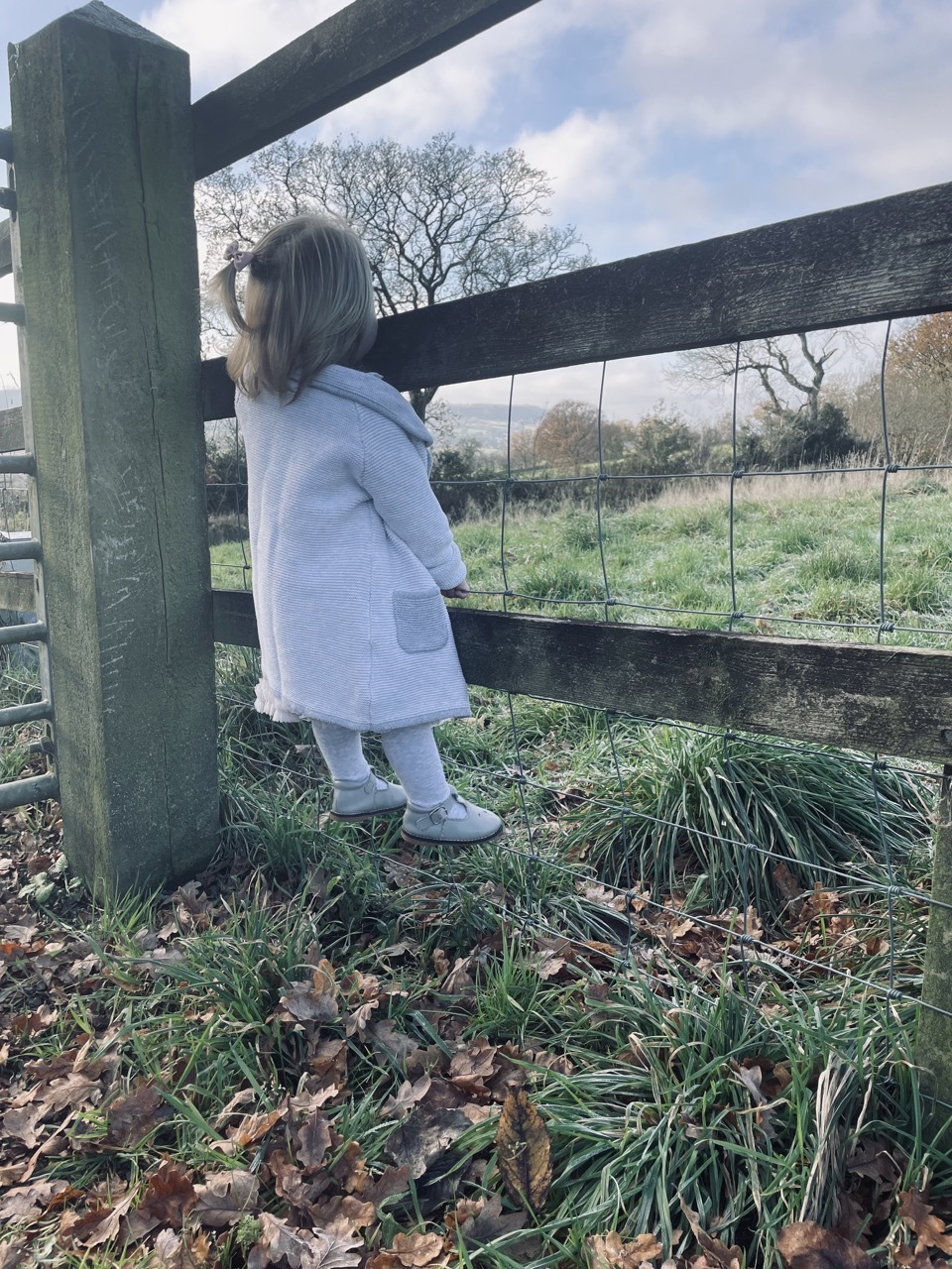 Stonehayes Farm is child friendly