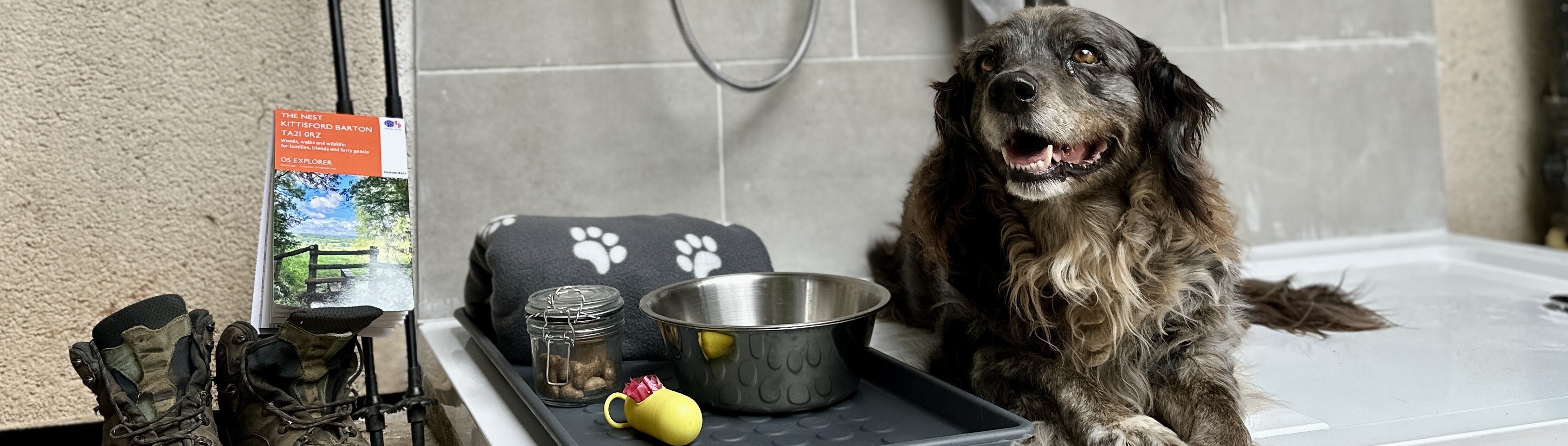 A very happy dog lying our our dog shower at our property The Nest 