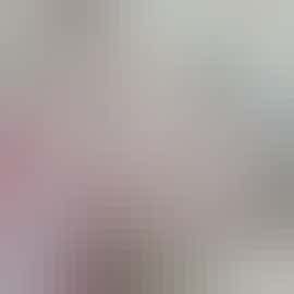 Window Seats Window Seats