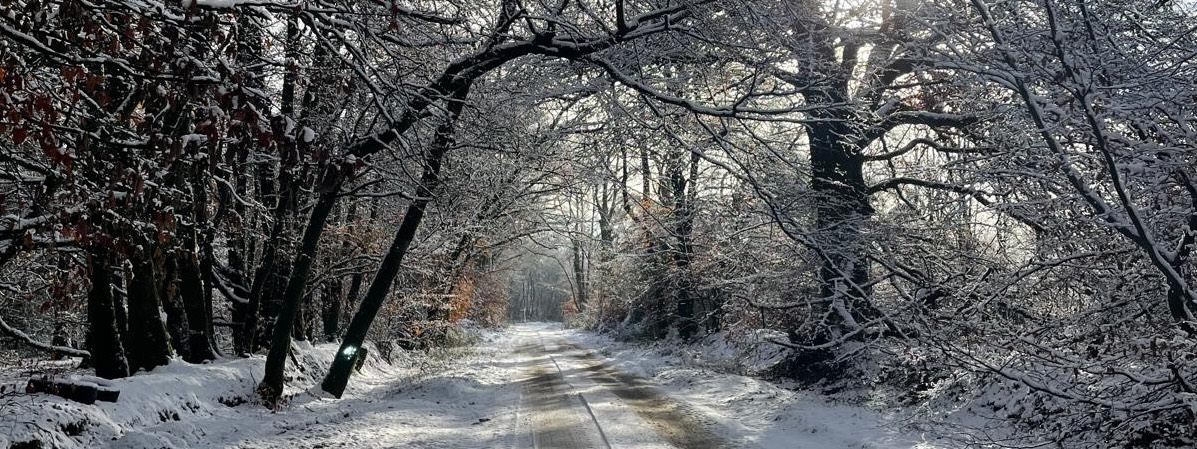 The Best Events For Autumn & Winter in East Devon 