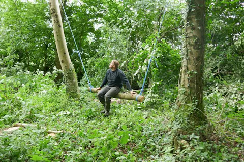One of the logs swings in the woods