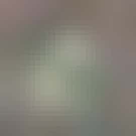 Spring is here Spring is here