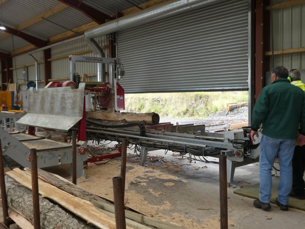 Local elm sourced from the Bute sawmill