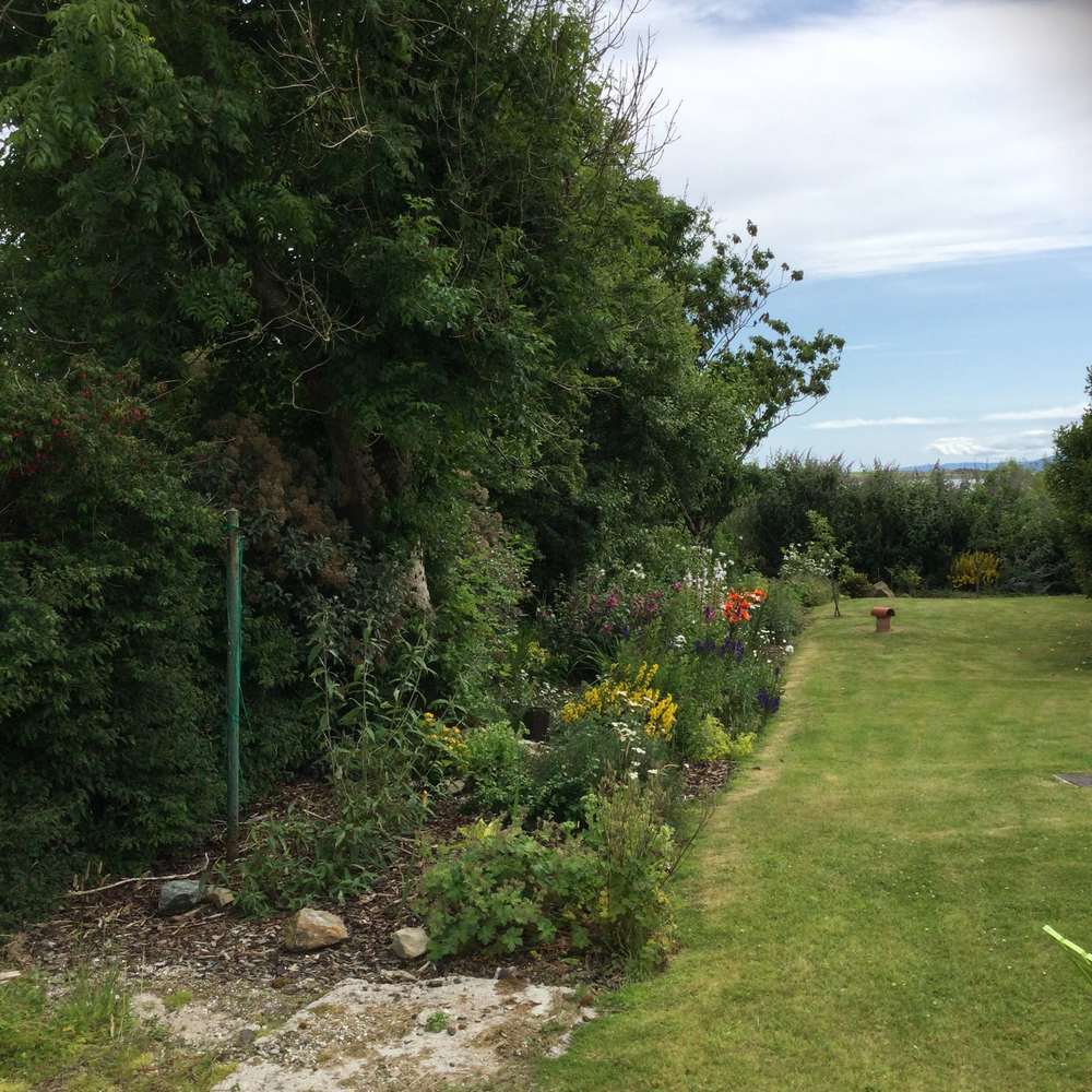 Garden border in 2021