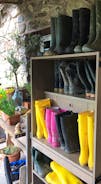 Wellies to borrow at Barlings for tramping through the woods