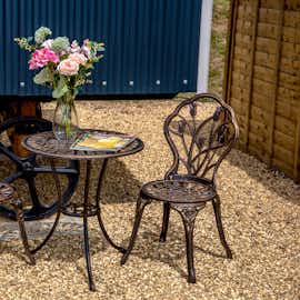 Copper Beech - Sip coffee in the sunshine Copper Beech - Sip coffee in the sunshine