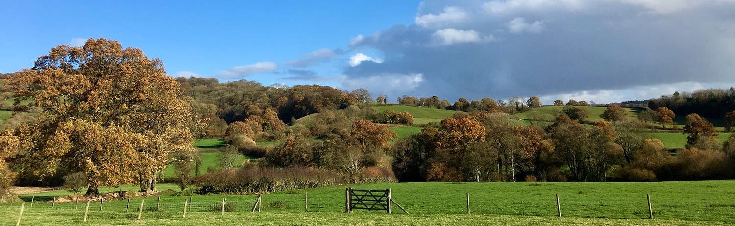 Late Availability Group Holiday Houses – Special Offers!