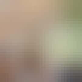 Garden Court - Doors open from the living room onto the terrace Garden Court - Doors open from the living room onto the terrace