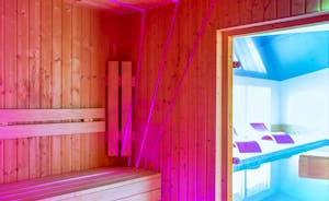 Fuzzy Orchard - The sauna looks out over the indoor pool