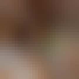 Herons Bank - The orangery is a wonderful light and airy dining room Herons Bank - The orangery is a wonderful light and airy dining room