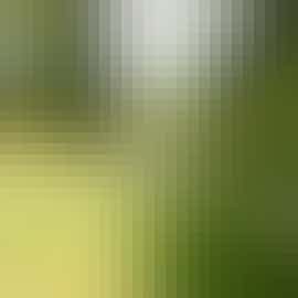 Local Area Local Area