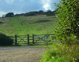 Brighstone Forest