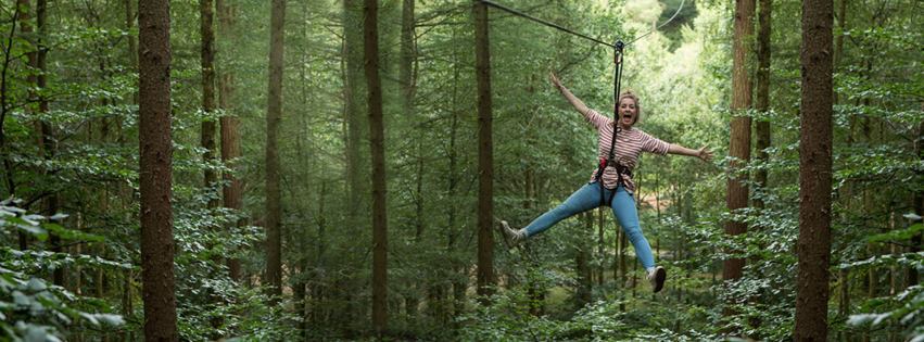 Go Ape experience at Haldon Forest