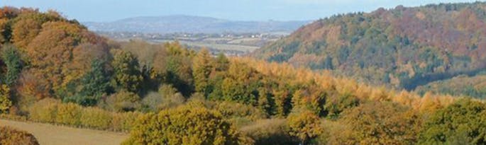 Think you know the Forest of Dean?