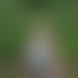 Hector on a walk Hector on a walk