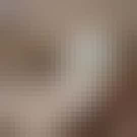 Herons Bank - A sumptuous and spacious living room, with doors onto the garden Herons Bank - A sumptuous and spacious living room, with doors onto the garden