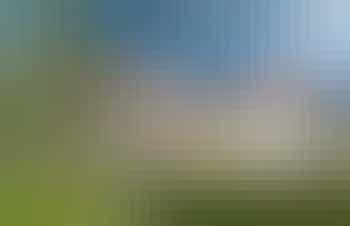 An image of 'Pinklet', Wiltshire