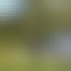 A view of River Wye Lodge from the banks of the River Wye 12 bedroom self catering accommodation Nr. the Forest of Dean Gloucestershire www.bhhl.co.uk  A view of River Wye Lodge from the banks of the River Wye 12 bedroom self catering accommodation Nr. the Forest of Dean Gloucestershire www.bhhl.co.uk