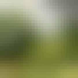 Hectors Loft Hectors Loft