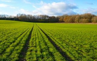 'Family Holidays in Faringdon, Oxfordshire' - Holiday Ideas