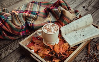 'October Coastal Cottage Holidays on the Isle of Bute Scotland' - Holiday Ideas