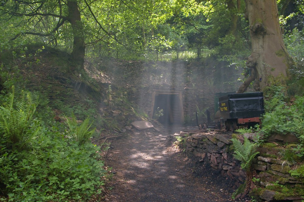 Discover the history of the Forest of Dean Dean Heritage Centre