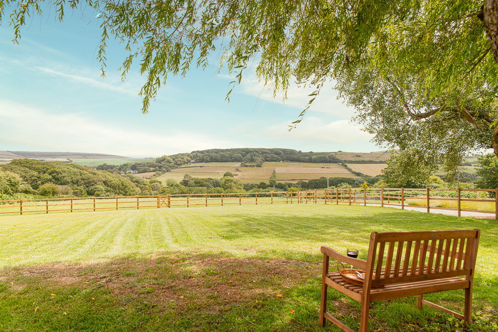 Dog Walking Paddocks