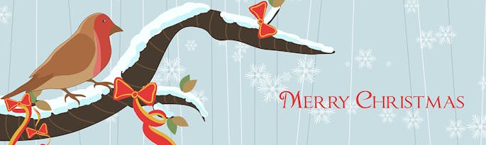 Luxury Group Accommodation at Christmas