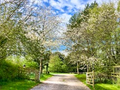 The Cottage Beyond: The tree lined drive to your rural paradise!
