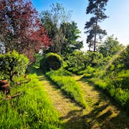 Pathways in the Garden