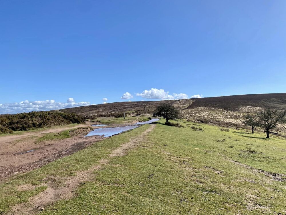 Crowcombe Park Gate Quantock Hills