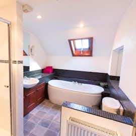 Bathroom shower Bathroom shower