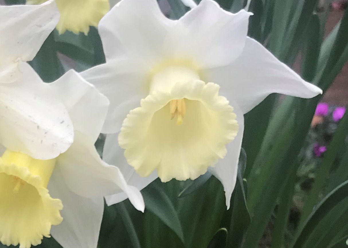 Spring must be on its way