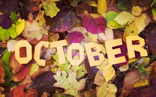 'Large Group Accommodation for October' - Holiday Ideas