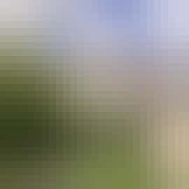 Overbrooks - An idyllic country house for dog friendly large group holidays and family celebrations Overbrooks - An idyllic country house for dog friendly large group holidays and family celebrations