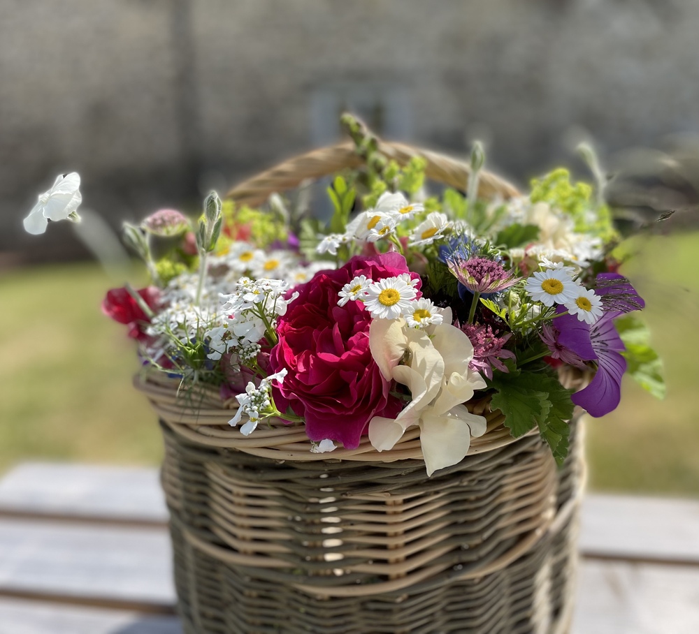 Flowers at Stonehayes Farm