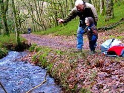 At the bottom of the Quantock Hills coombes you find the streams